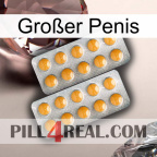 Großer Penis levitra2